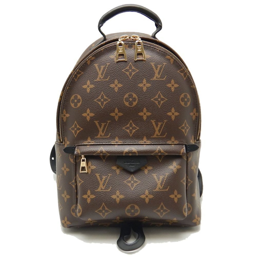 Louis Vuitton Monogram Palm Springs Rucksack Backpack PM Brown